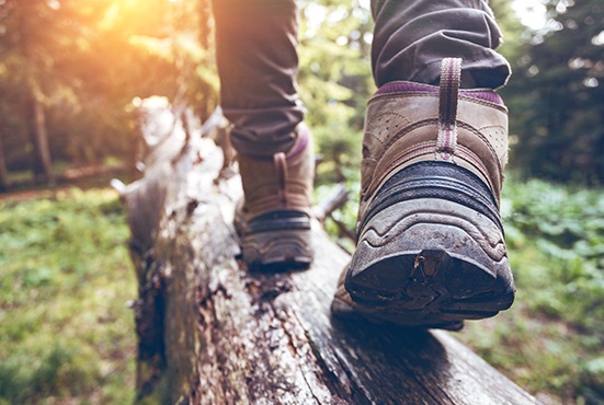 Wanderschuhe Baumstamm